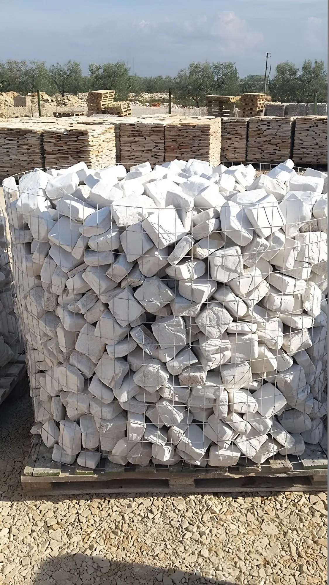 Cubetti anticati di Trani