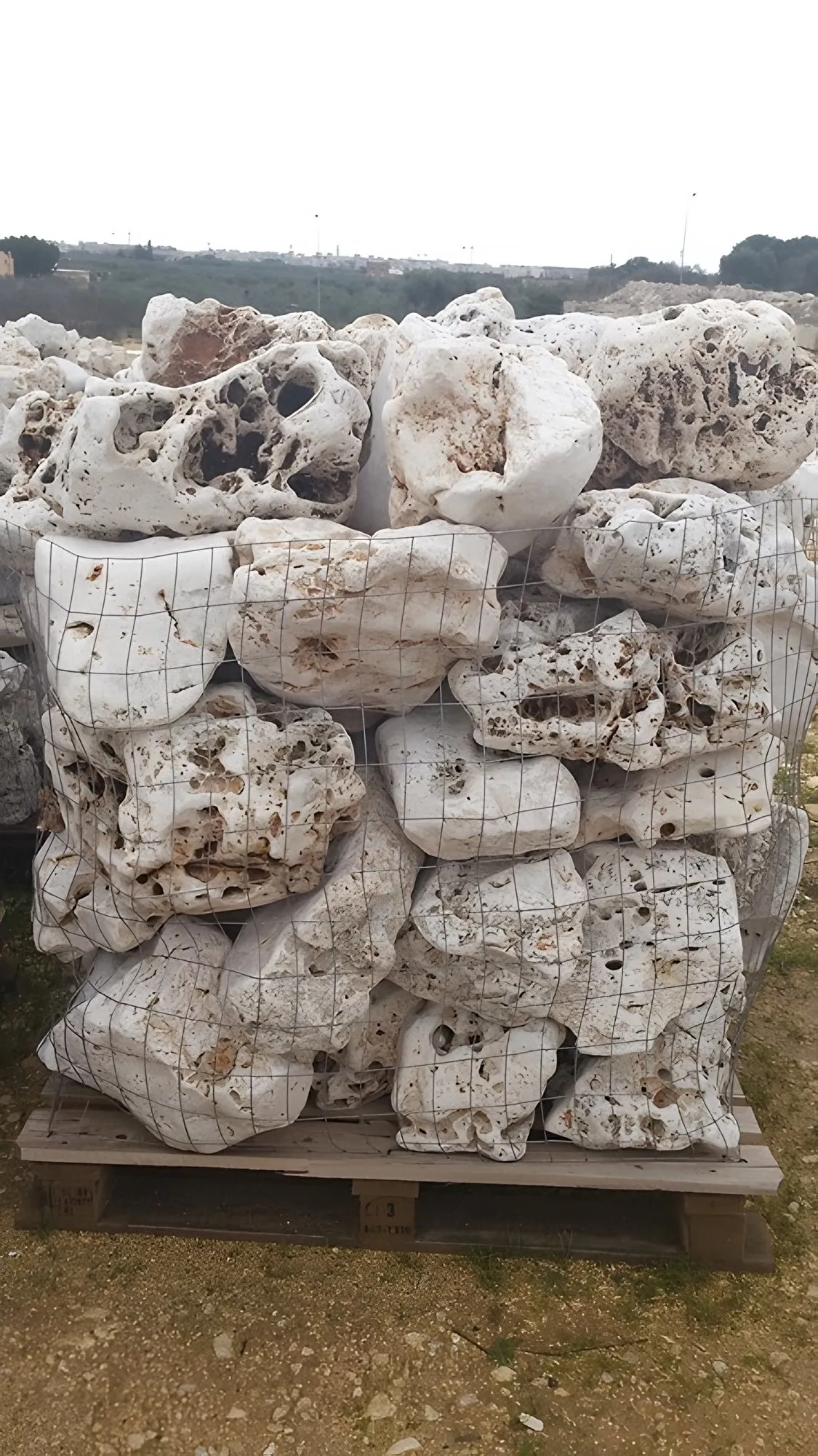 Rocce della Murgia Anticate
