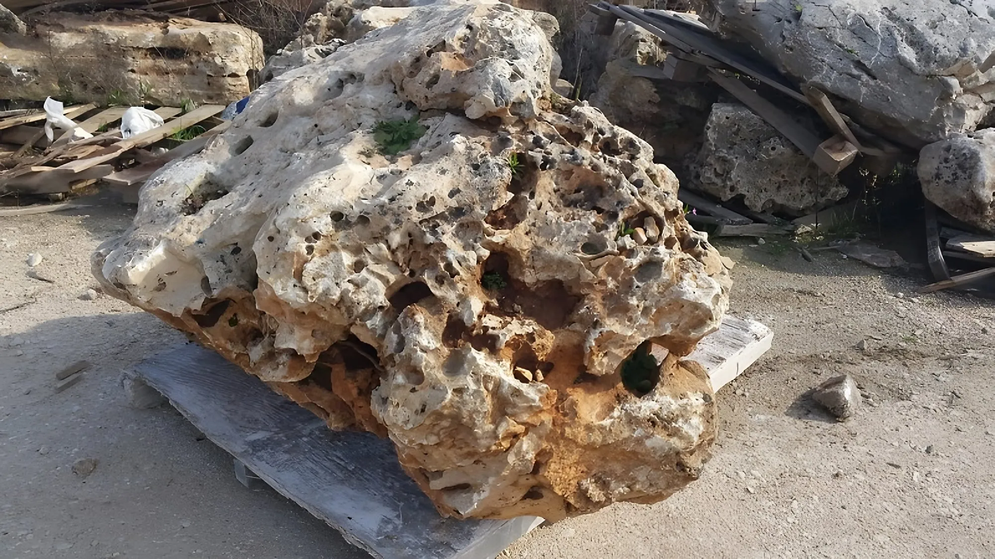 Esemplare di Roccia per ornamento