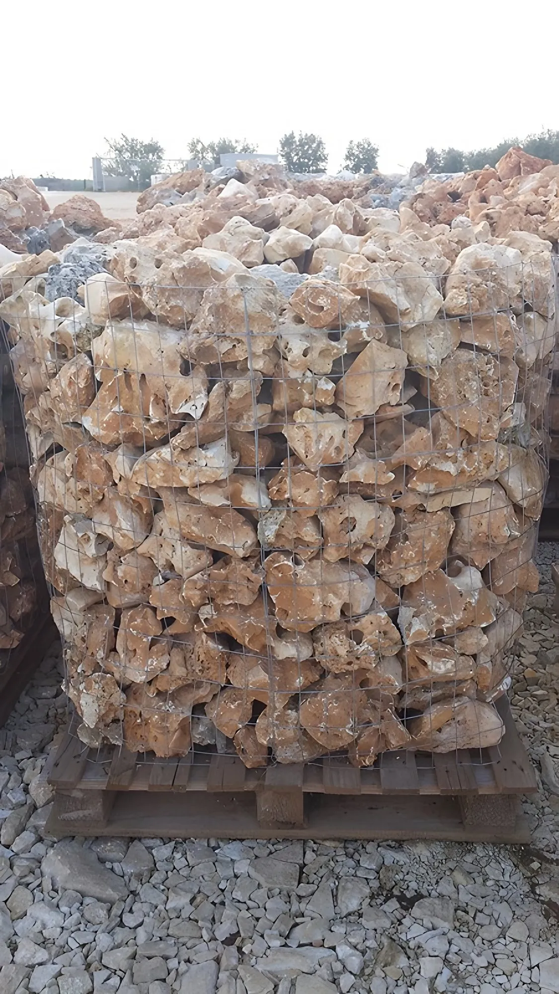 Rocce naturali della Murgia