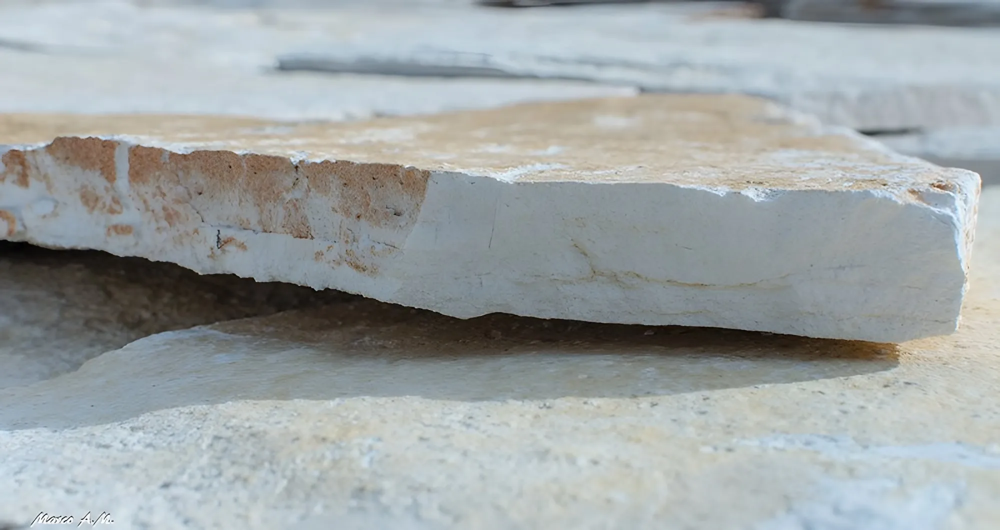 Scorza di Trani opus incertum
