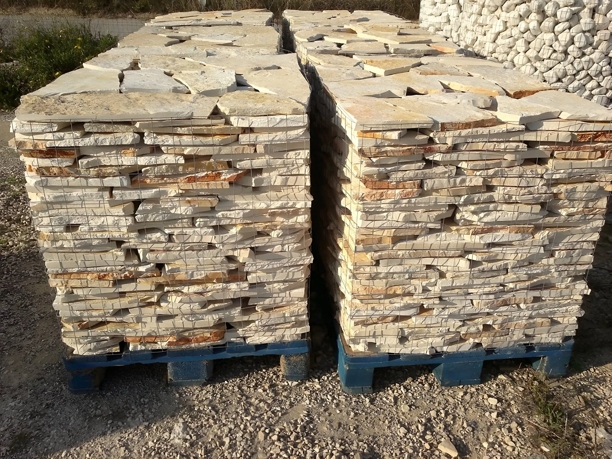 Scorza Retrosegata di Trani per rivestimenti