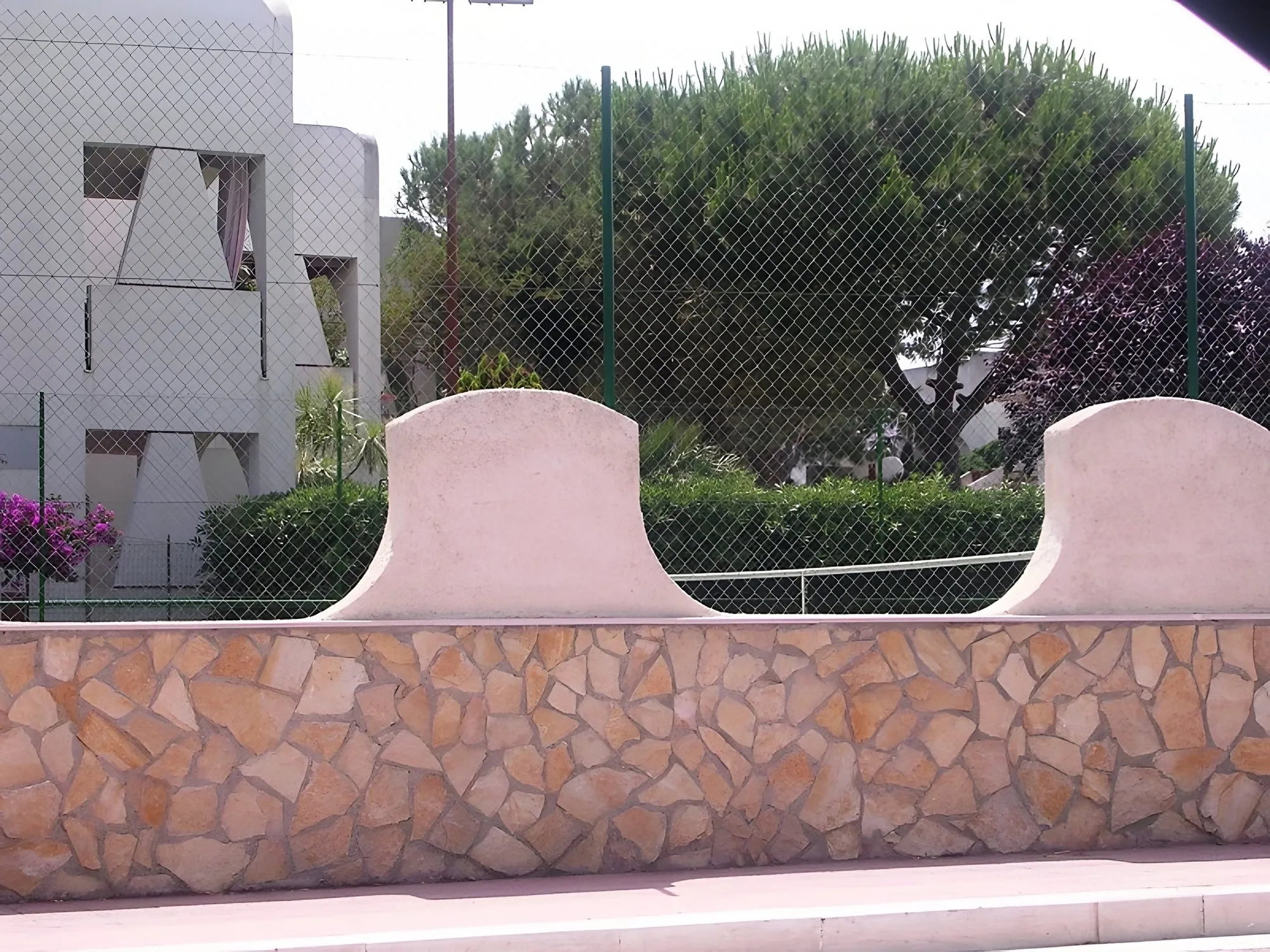 Scorza retrosegata di Trani per rivestimento